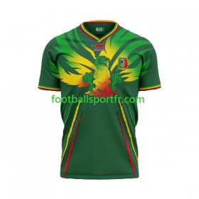 Tenue Mali Exterieur 2024 Maillot de Foot